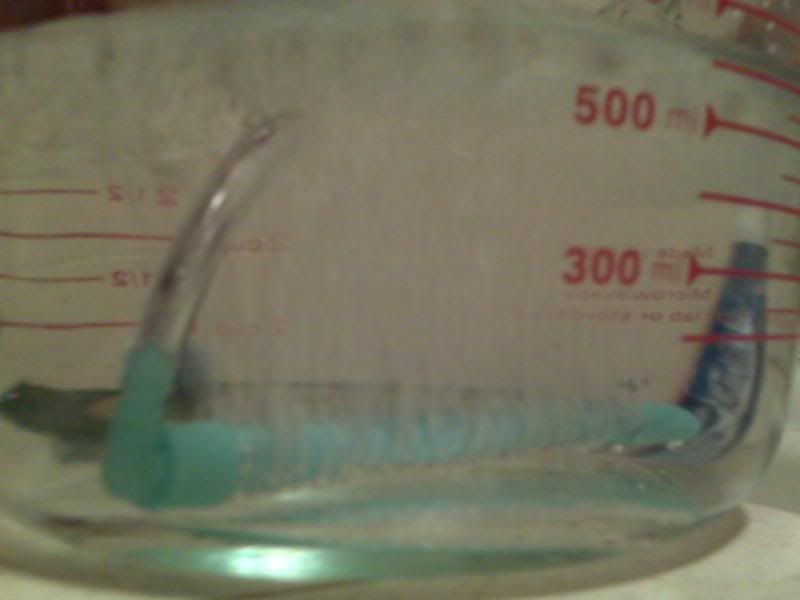 IMG00472.jpg