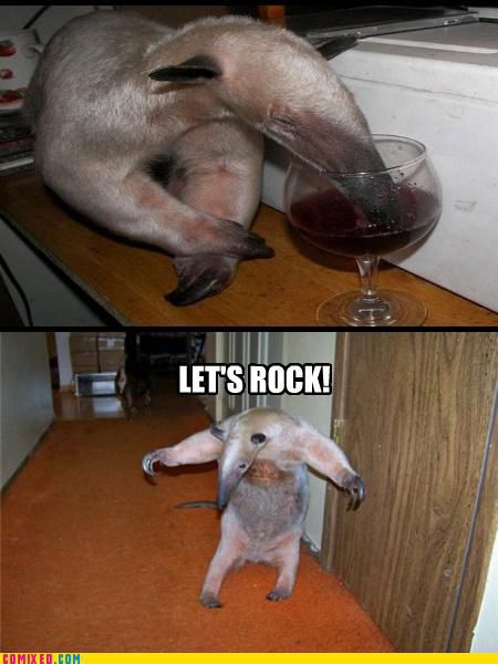 funny_commixed_pictures_05.jpg