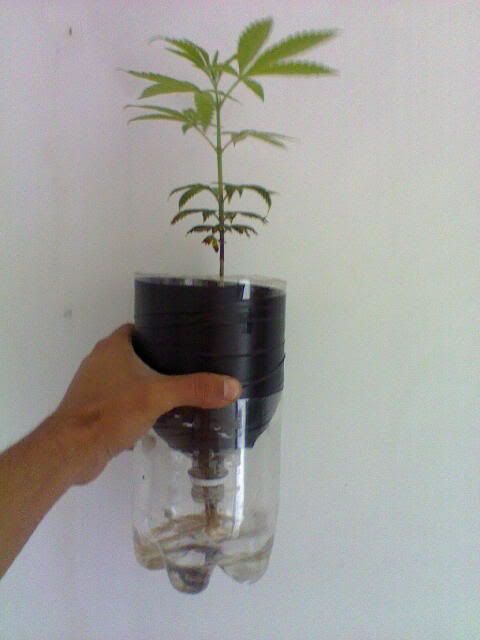May05_0001.jpg
