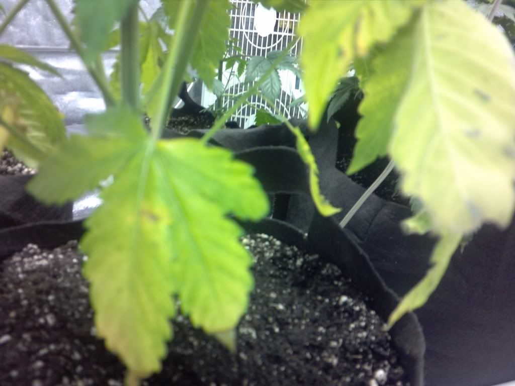 2012-11-26_15-00-12_994_zps54e87e05.jpg