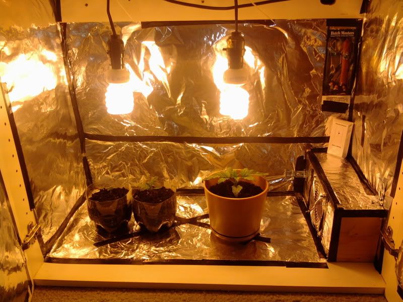 SDLightSetup.jpg