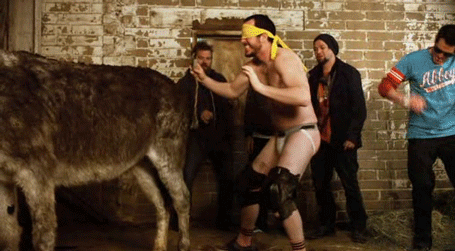 jackass3-2.gif