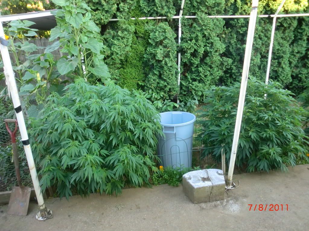 CIMG5680.jpg
