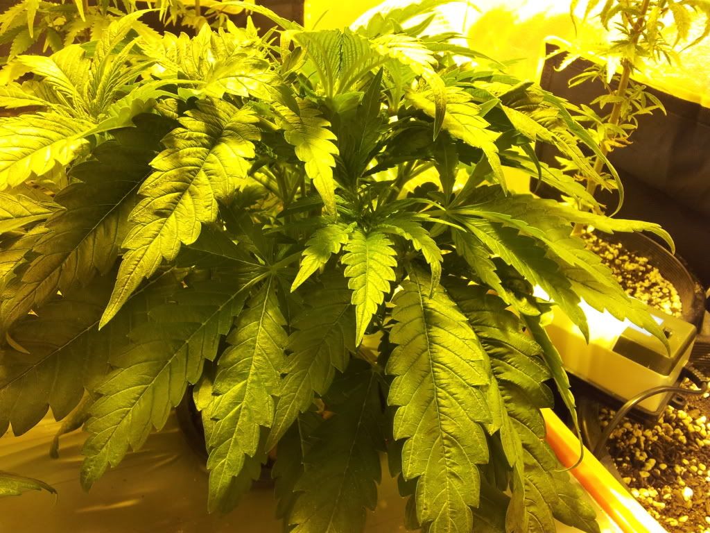2012-05-12203346.jpg