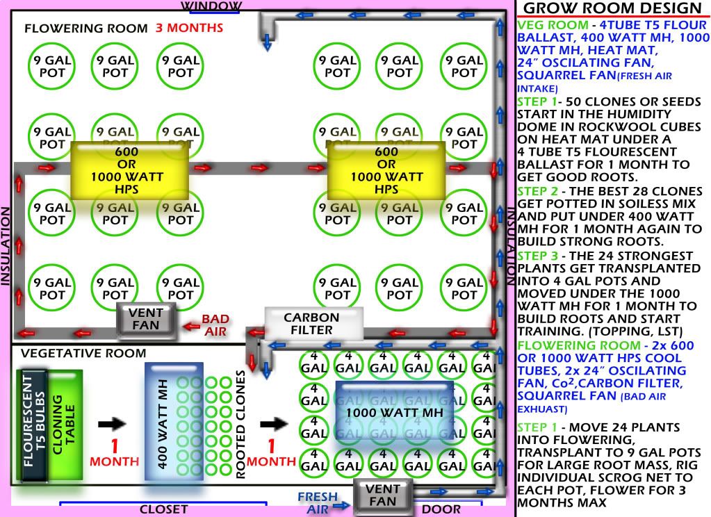 LAYOUT.jpg