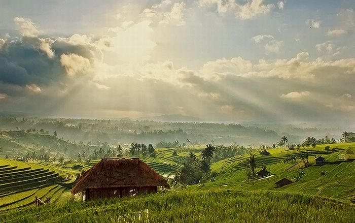 landscape_20.jpg