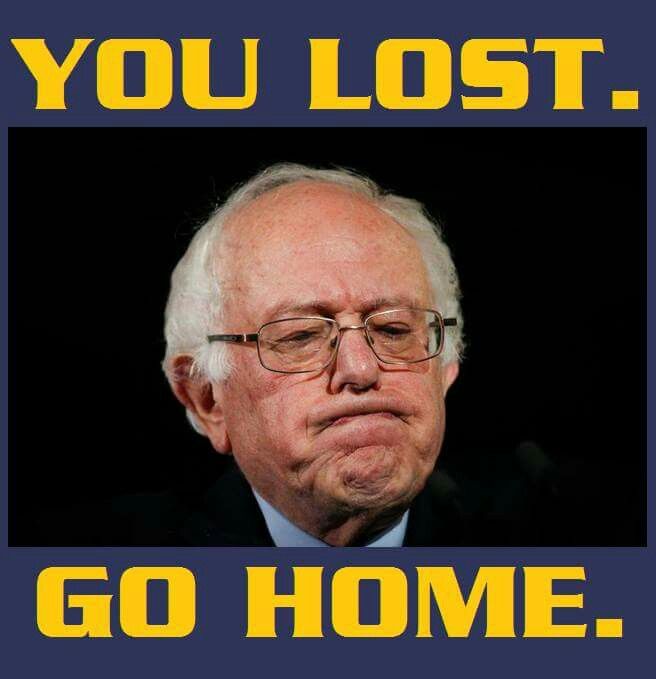 74a156a89ed3dee6aee651fcf9021d6c--bernie-sanders-fun-stuff.jpg