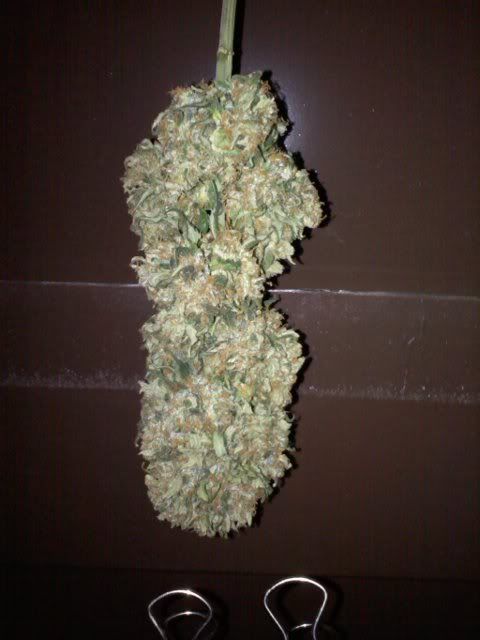 20120324132023.jpg