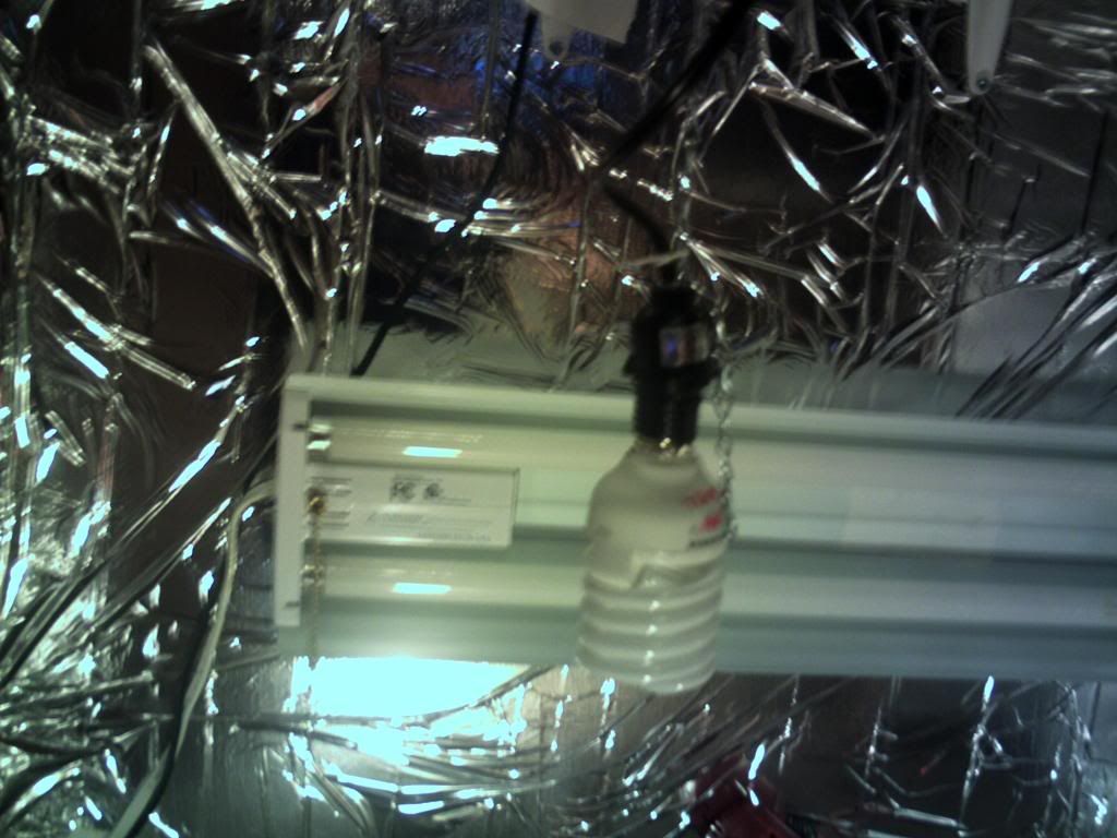 PICT0022.jpg
