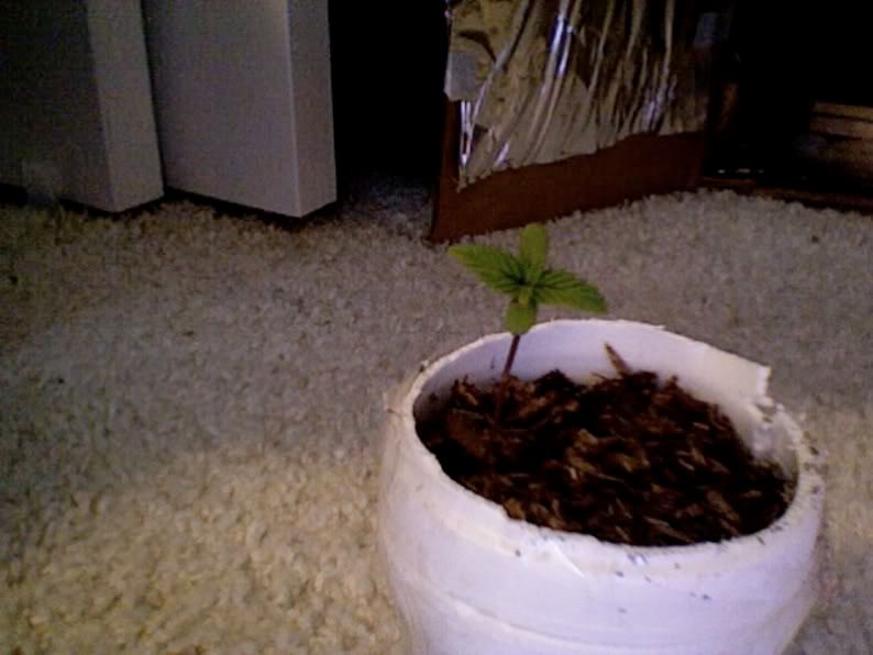 VideoSnapshot-8.jpg