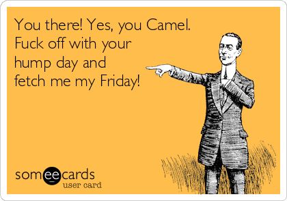 no-camel-love-10-30-2013.jpg