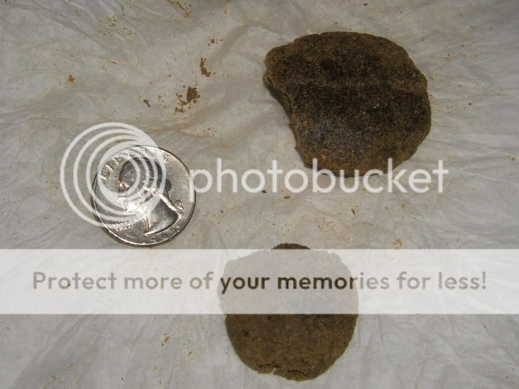 DSCF2937.jpg