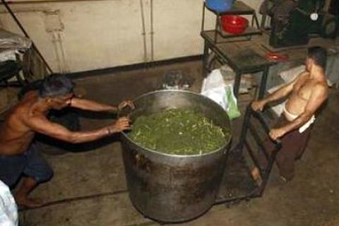 srilankan-pot.jpg
