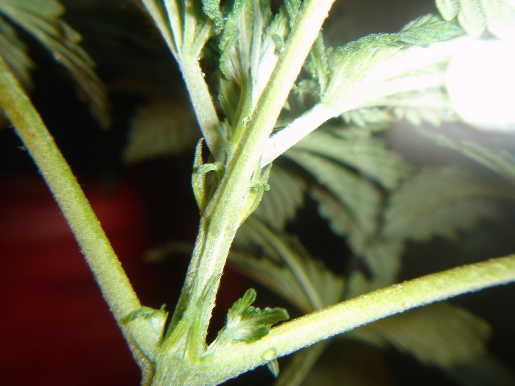 DSC01422.jpg