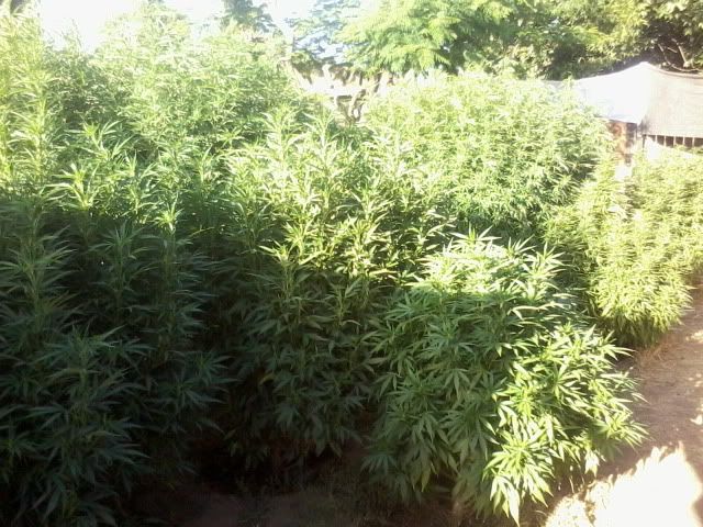 120723_016.jpg