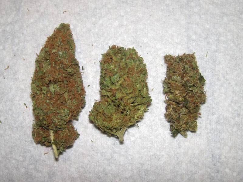 img0546copyl.jpg
