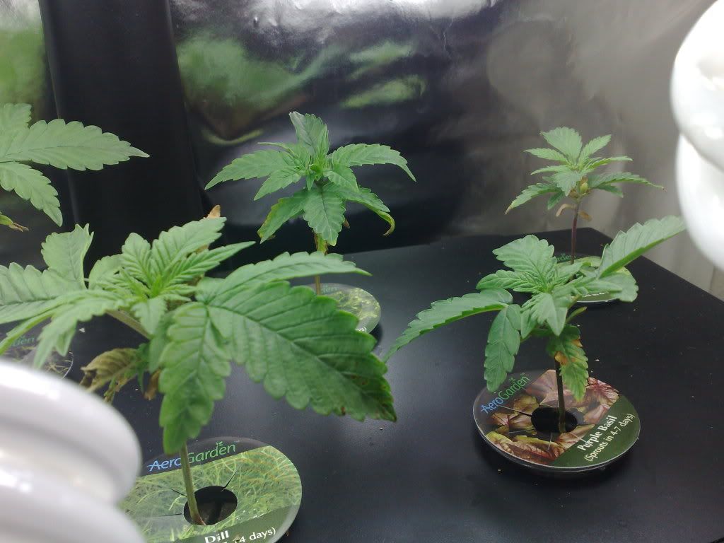 12092008535.jpg