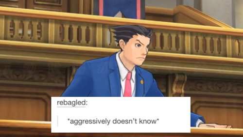 tumblr_nnqvh8Fytx1qcwoc3o1_500.jpg