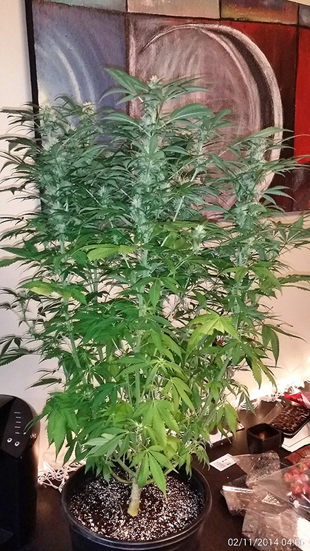 pJ29E63.jpg