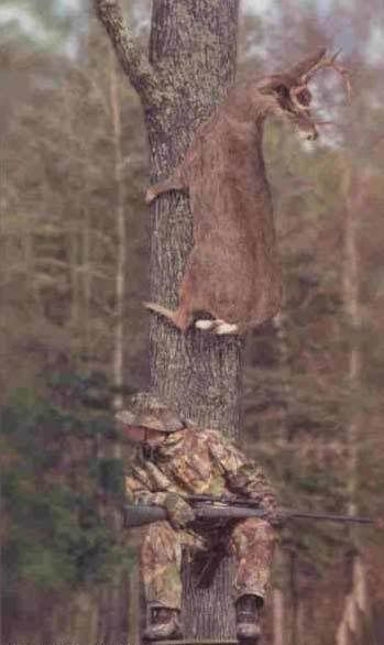Hunting.jpg