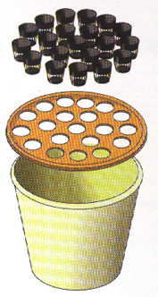 bouturette03.jpg
