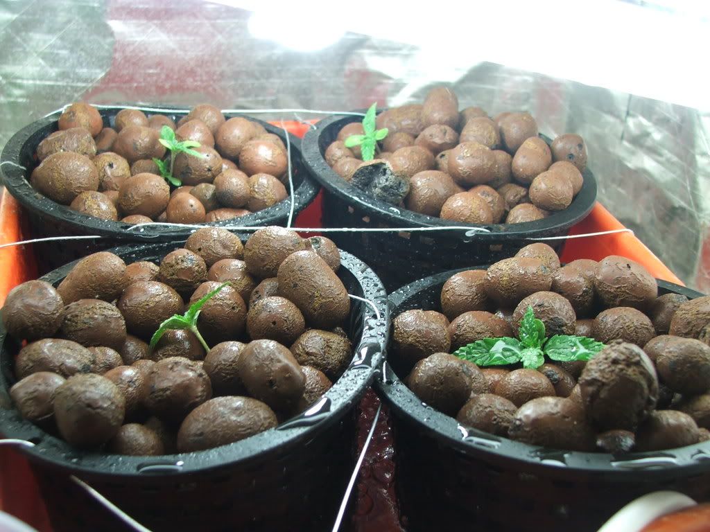 DSCF6980.jpg