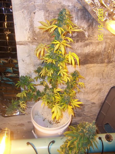 044036c1.jpg