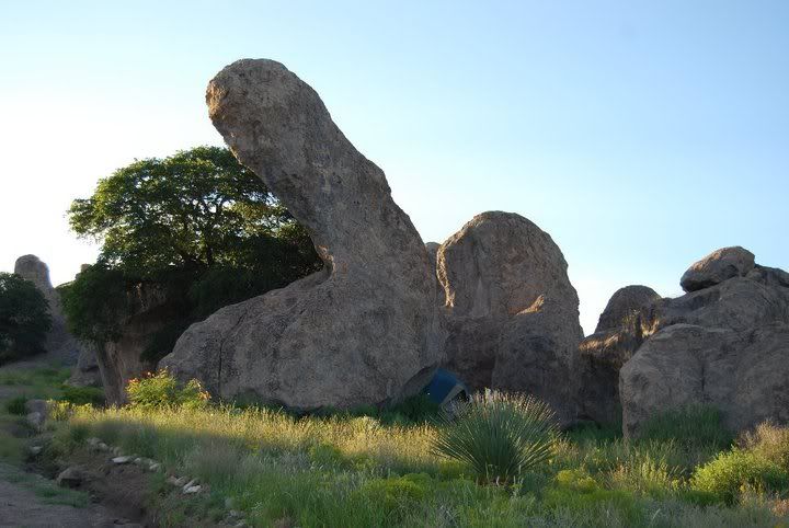 wenisrock.jpg