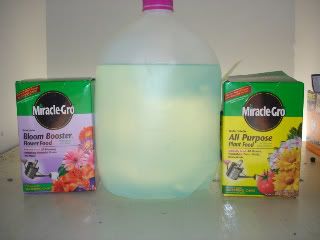 NutesandWater.jpg