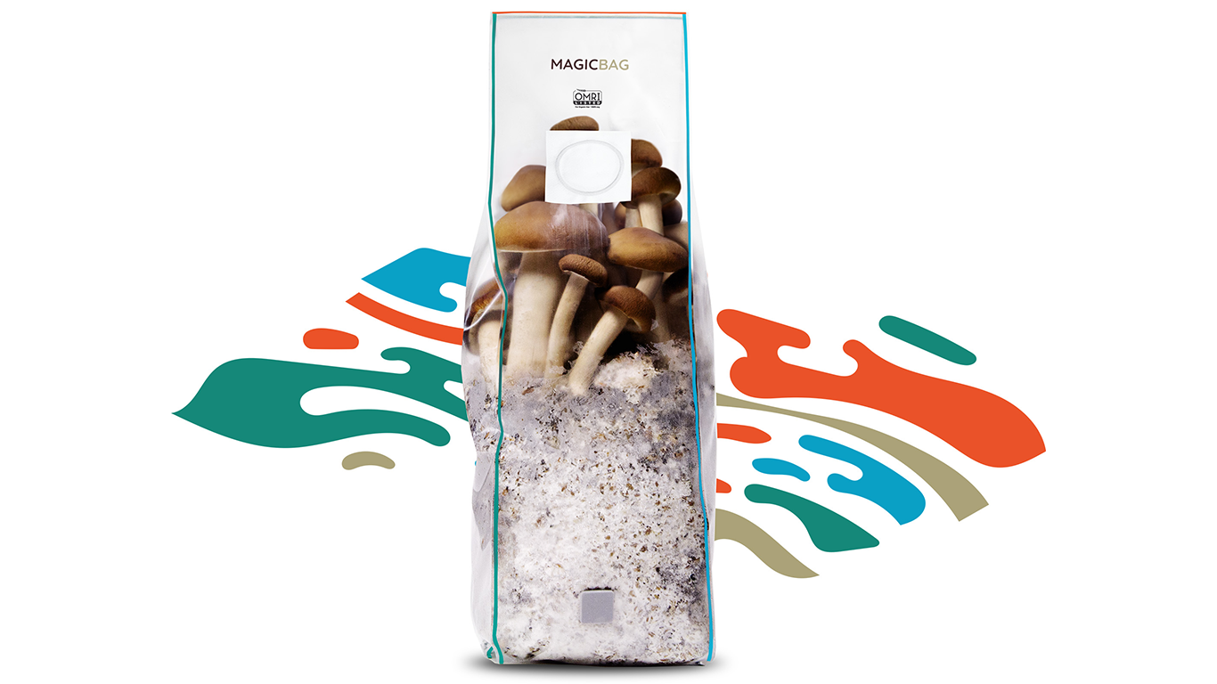magicbag.co