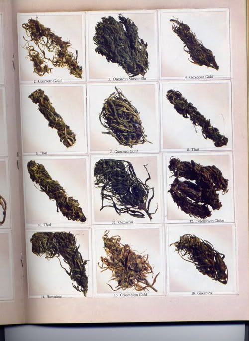 1977hightimes2.jpg