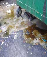 Dumpster.jpg