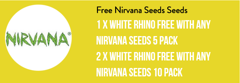 Nirvana Seeds White Rhino Promo.png