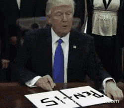 tenor.gif