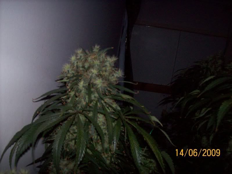 93c1f4ea.jpg