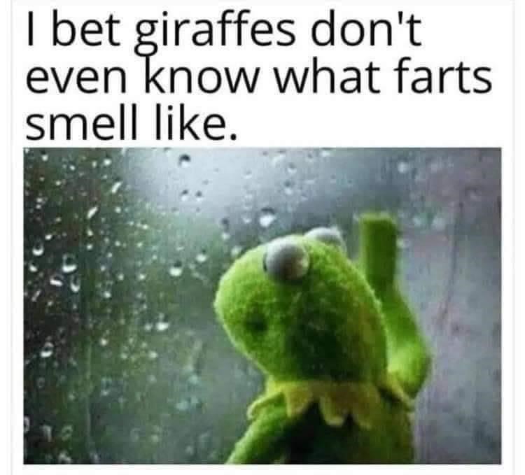 animal-bet-giraffes-dont-even-know-farts-smell-like