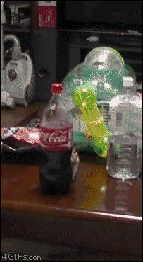 gifs_25.gif