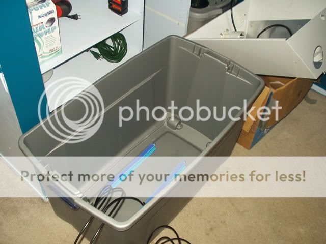 P1010011.jpg