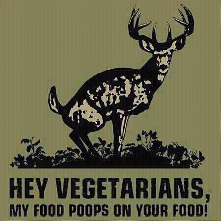 Hey-Vegetarians.jpg
