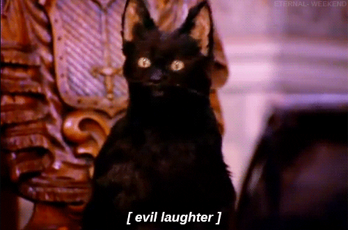 M7EQSsEXkGRvq.gif