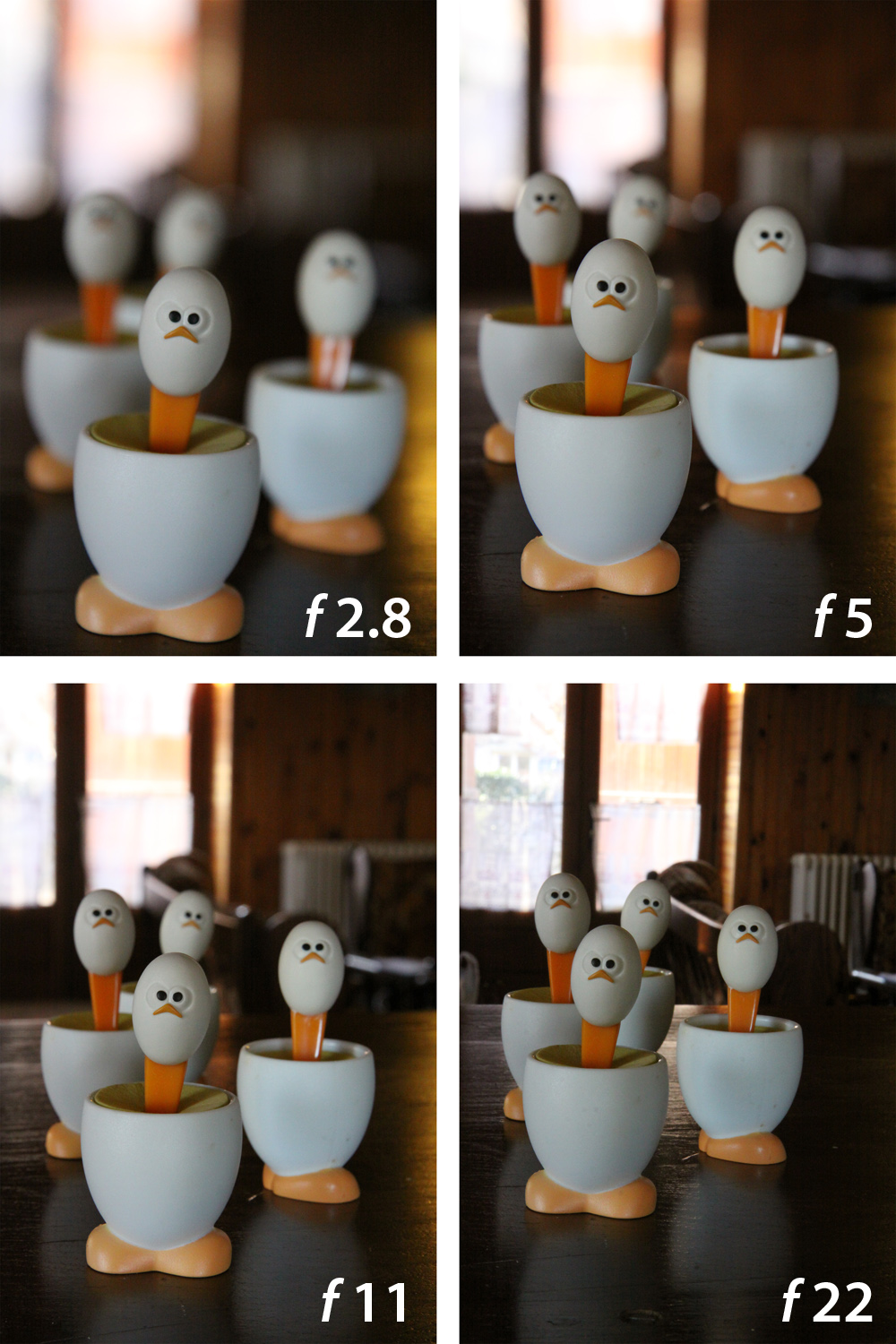 DOF-eggs-ample.jpg