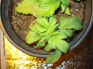 DSC05588.jpg
