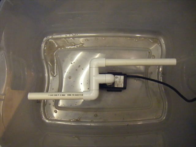 DSCF1706.jpg