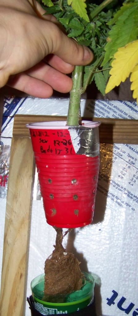 100_5498.jpg