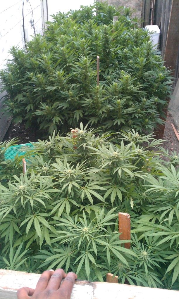 IMAG0435.jpg