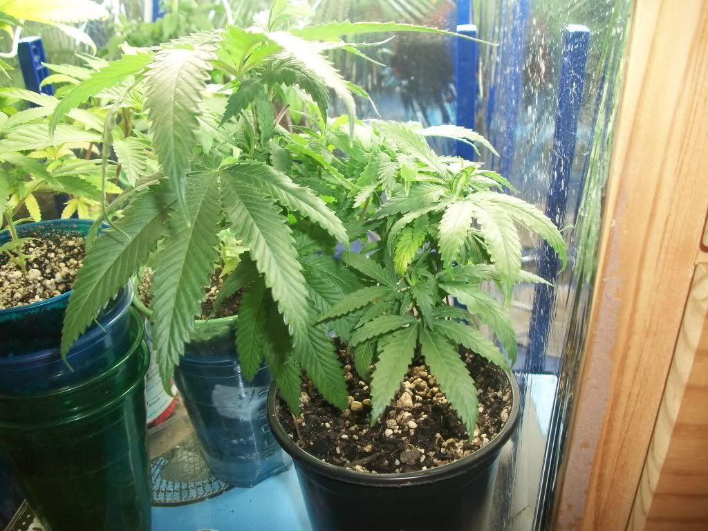 8-30-11008.jpg