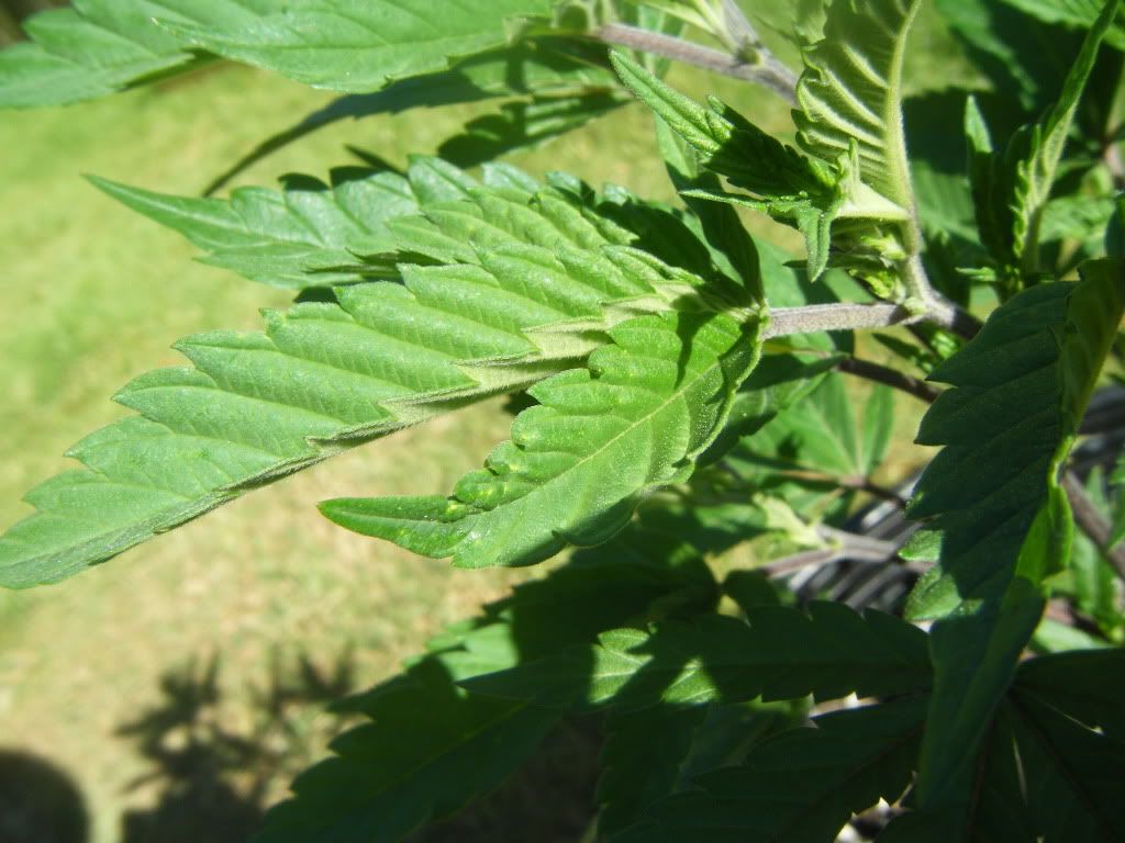 DSCF8040.jpg