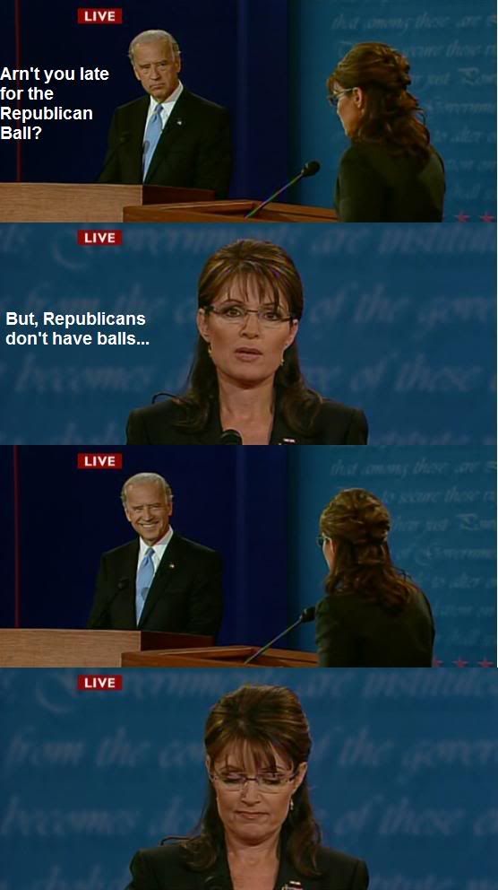 bidenpalin.jpg