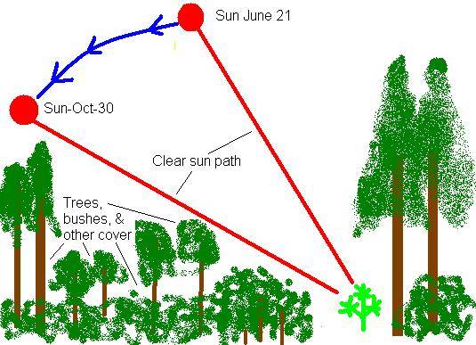7710Clear_sun_path_1.JPG