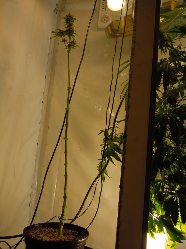 DSCN0476.jpg